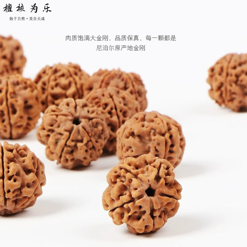 檀核为乐金刚菩提手串 原生态五瓣大金刚 尼泊尔大金刚原籽双龙纹文玩手串 五瓣满肉大金刚20-21mm