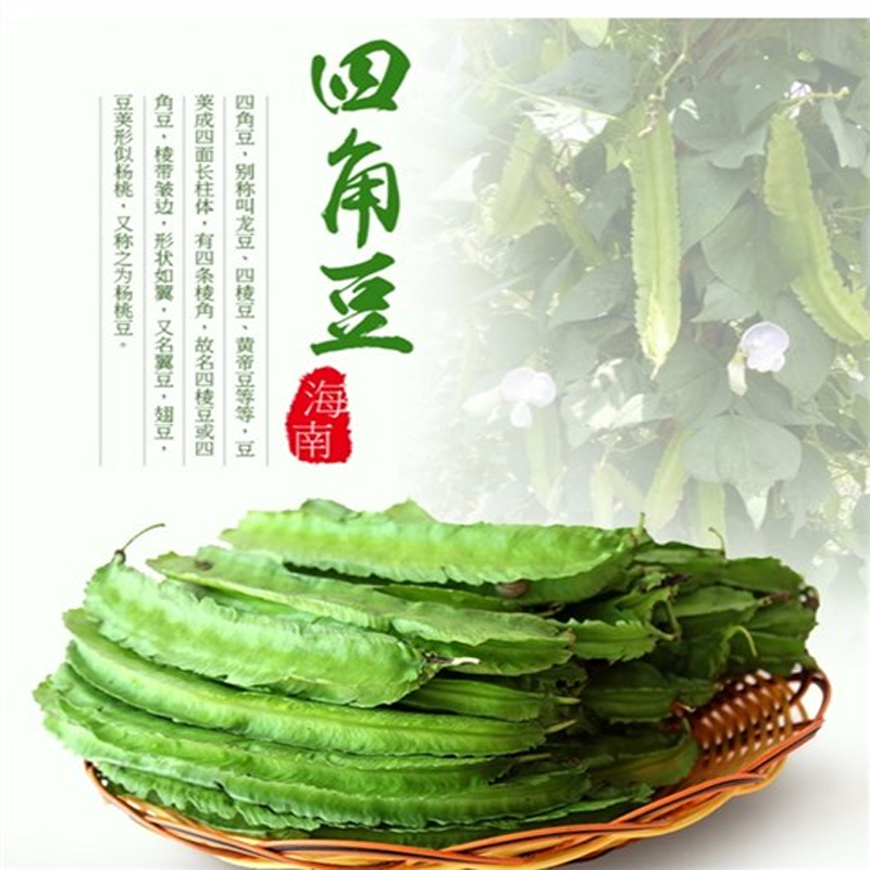 【顺丰】海南四角豆新鲜三亚特产嫩蔬菜现摘四棱豆龙豆皇帝豆 2斤