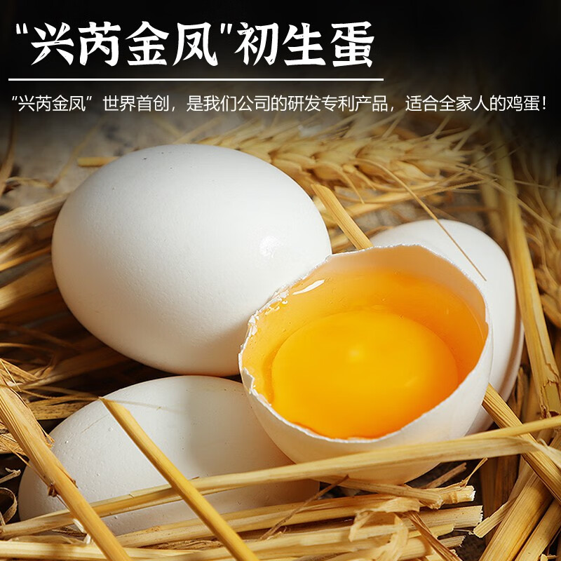 迦百狮蛋类商品：引领市场趋势，享受美食之旅|蛋类近期价格走势如何