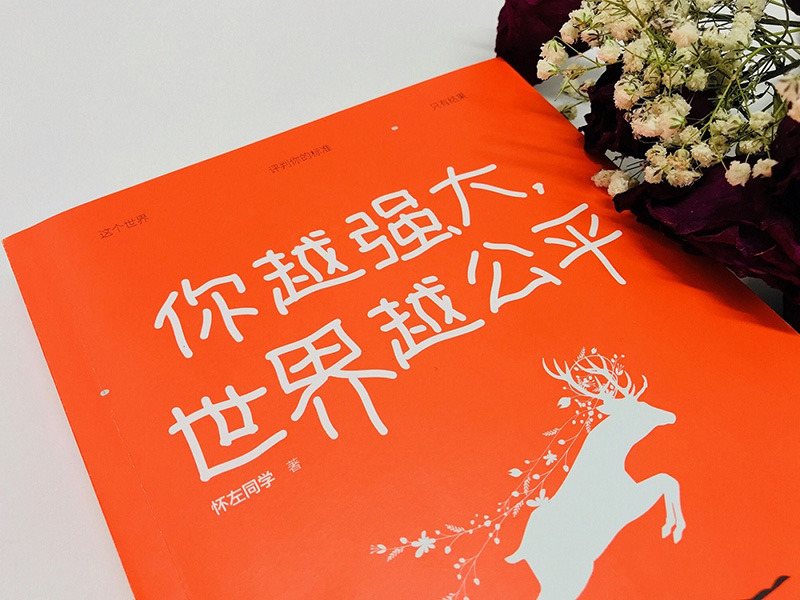 你越强大，世界越公平详情图
