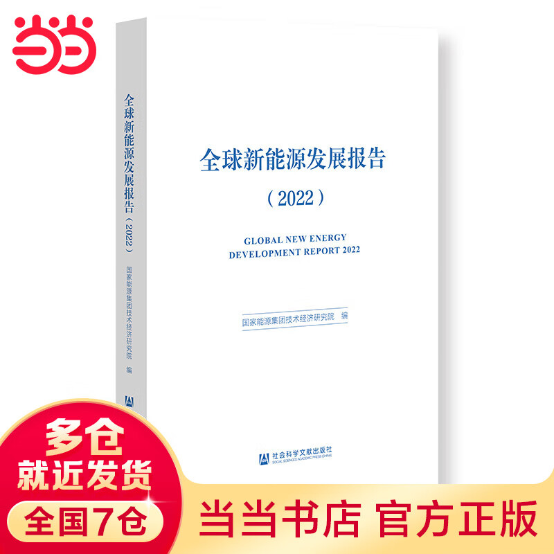 全球新能源发展报告（2022）