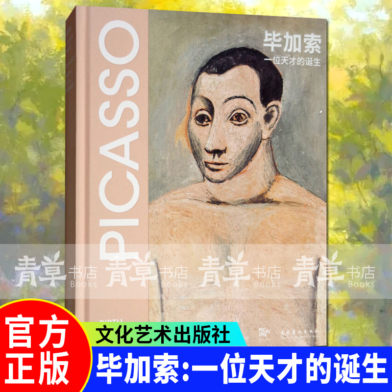 毕加索:一位天才的诞生  绘画 书籍