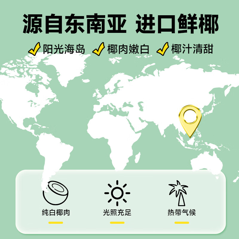 轻上100%椰子水整箱装0脂肪水汁网红饮料饮品果汁饮料 0糖生椰子汁220ml*10瓶