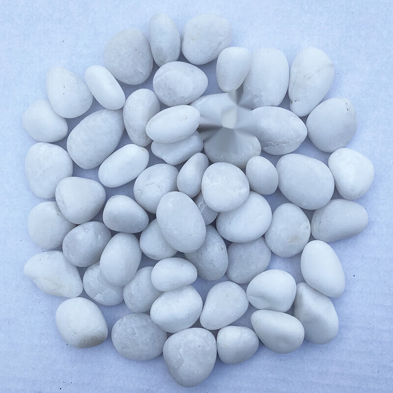 鹅卵石庭院铺地花园阳台装饰造景石头雨花石铺路 50斤普通白色1-3cm