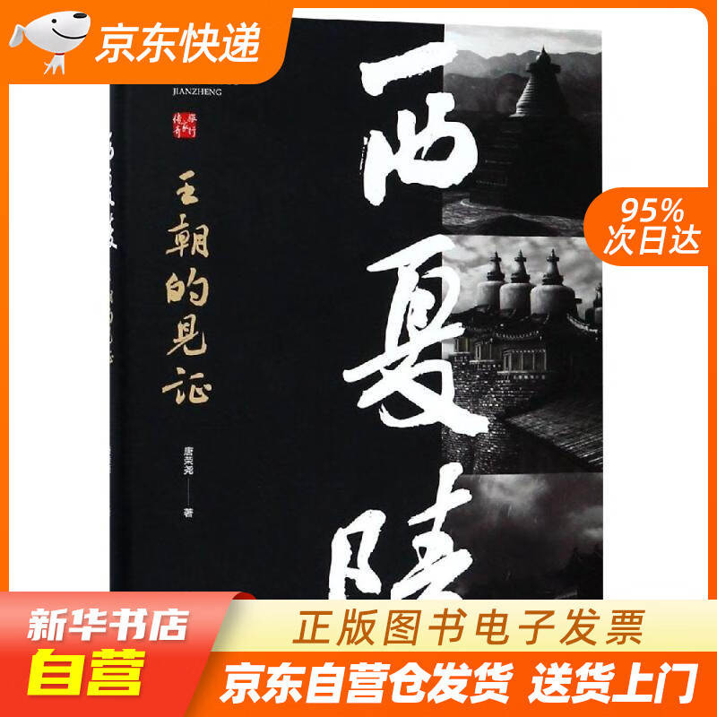 【新华书店正版】西夏陵：王朝的见证 唐荣尧 中国地图出版社 9787520407977 正版图书籍