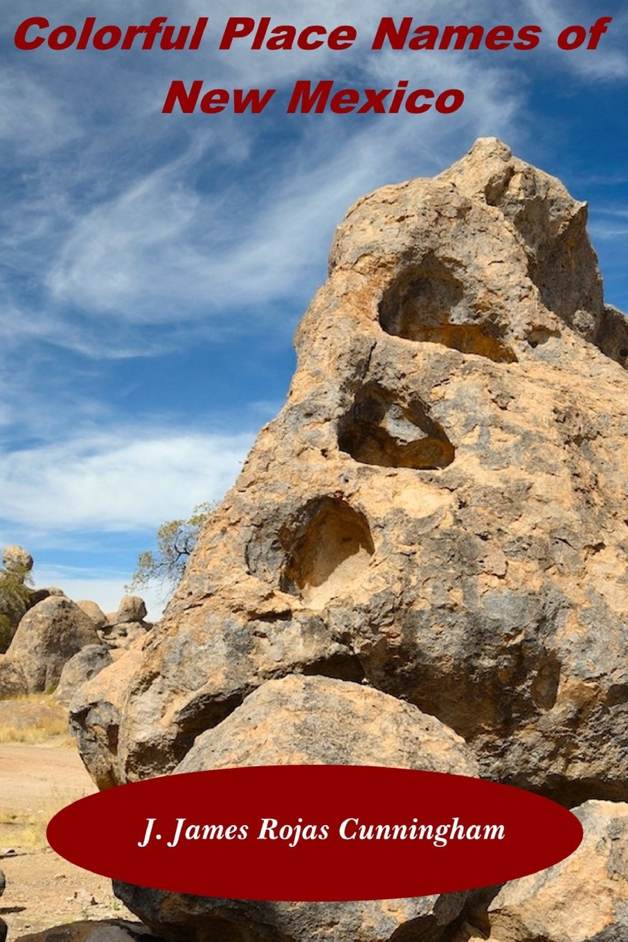 预售 按需印刷colorful place names of new mexico