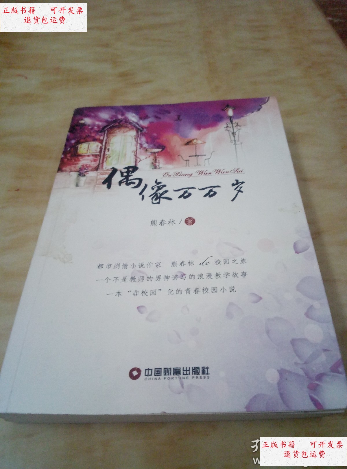 【二手9成新】偶像万万岁 /熊春林 中国财富出版社