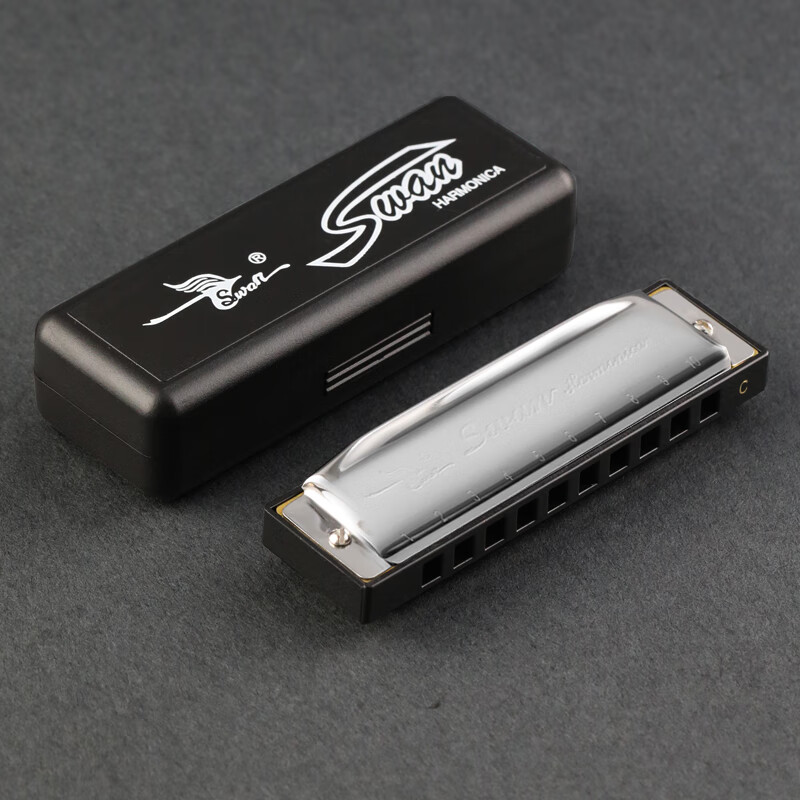 贤怀达布鲁斯口琴10孔蓝调c调儿童初学者入门男士十孔paddy调音 10孔