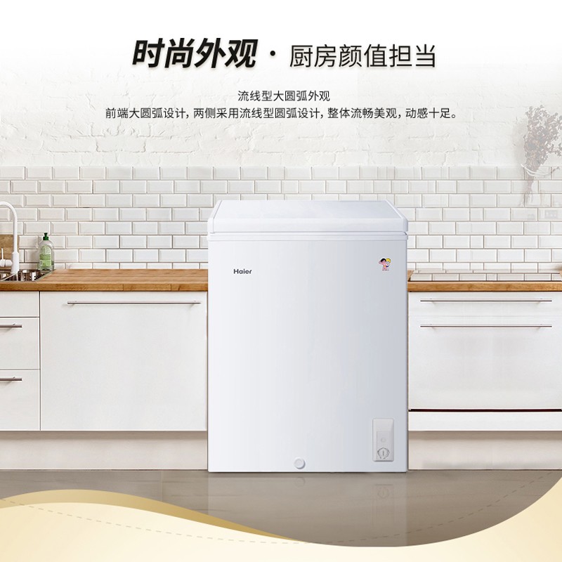 海尔 Haier 143升家用冰柜冷藏冷冻转换冷柜 节能单温冰箱 BC/BD-143HDB