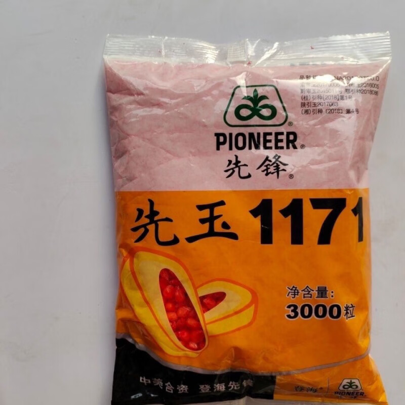 嘉瑰稳产先锋先玉1171先玉335稳产大棒玉米种子杂交 轴细粒深增产 先