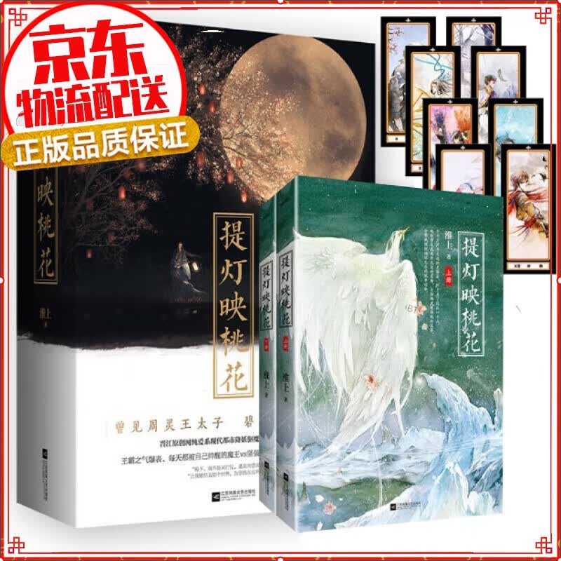 正版 提灯映桃花上下册 无删减版完结 破云作者淮上 古代古风武侠玄幻言情小说 双男主青春文学小说