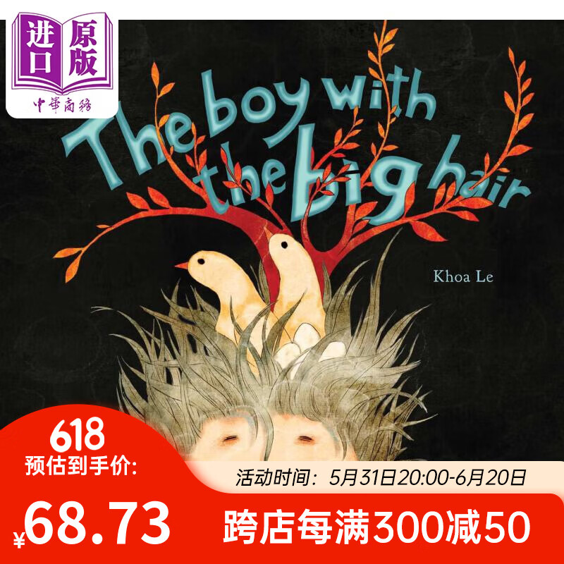 khoa le the boy with the big hair 蓬头发的男孩 英文原版 进口图书