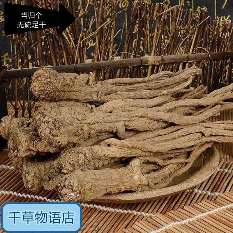 Minxian Wild Whole Root Angelica 500g