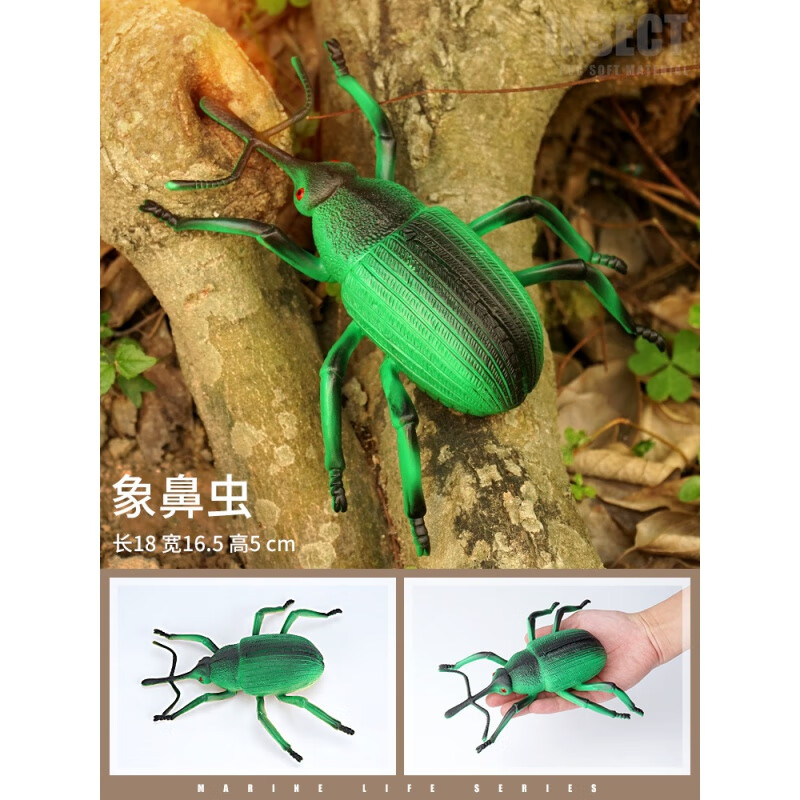 大号儿童玩具仿真动物昆虫模型摆件蜜蜂独角仙蝴蝶草蜢瓢虫蜘蛛牛
