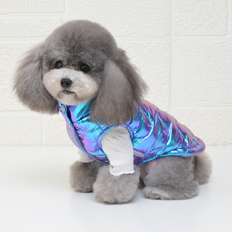 泰迪衣服秋冬 幻彩狗衣服小型犬保暖比熊吉娃娃衣服冬天幼犬衣服 棉