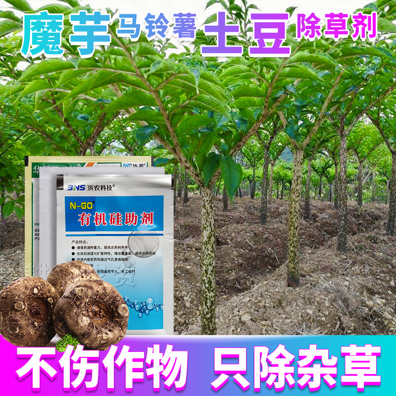 滨农科技魔芋马铃薯土豆专用除草剂磨芋洋芋苗后砜嘧磺隆套装配方除草