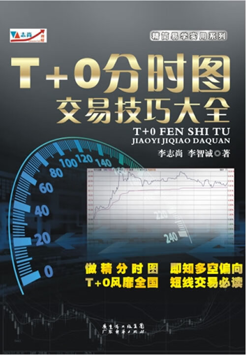T+0分时图交易技巧大全【正版图书】