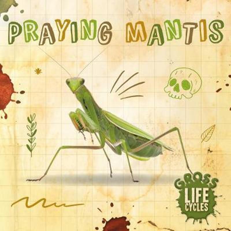 预订praying mantis