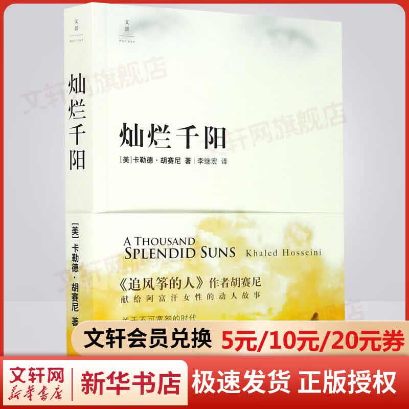 【新版】灿烂千阳 作者另著追风筝的人 群山回唱