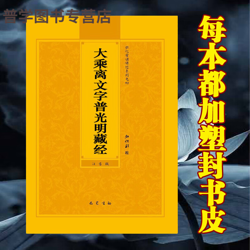 拼音版大乘离文字普光明藏经简体注音弘化常诵佛经读诵本经书结缘