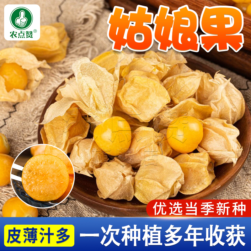 网购蔬菜类历史价格走势|蔬菜类价格走势