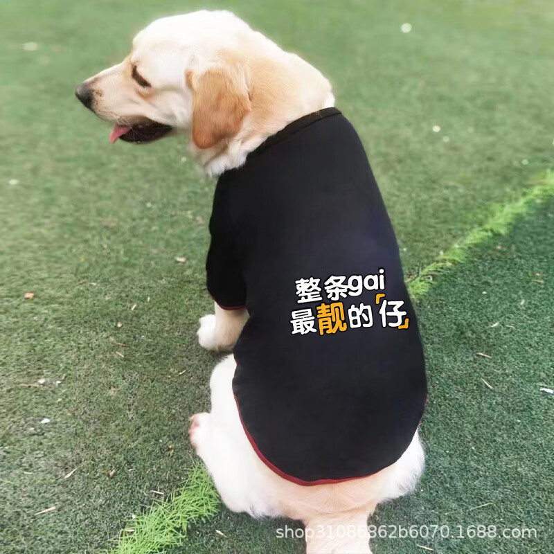 萨摩耶防掉毛薄款宠物衣服 黑色靓仔 3xl胸围64/体重(25-35斤)