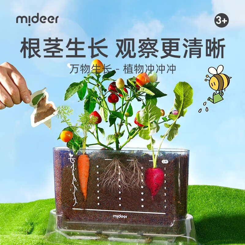 弥鹿（MiDeer）儿童植物种植观察窗阳光房小盆栽玩具小学生幼儿园六一儿童节礼物 【经典款】植物冲冲冲