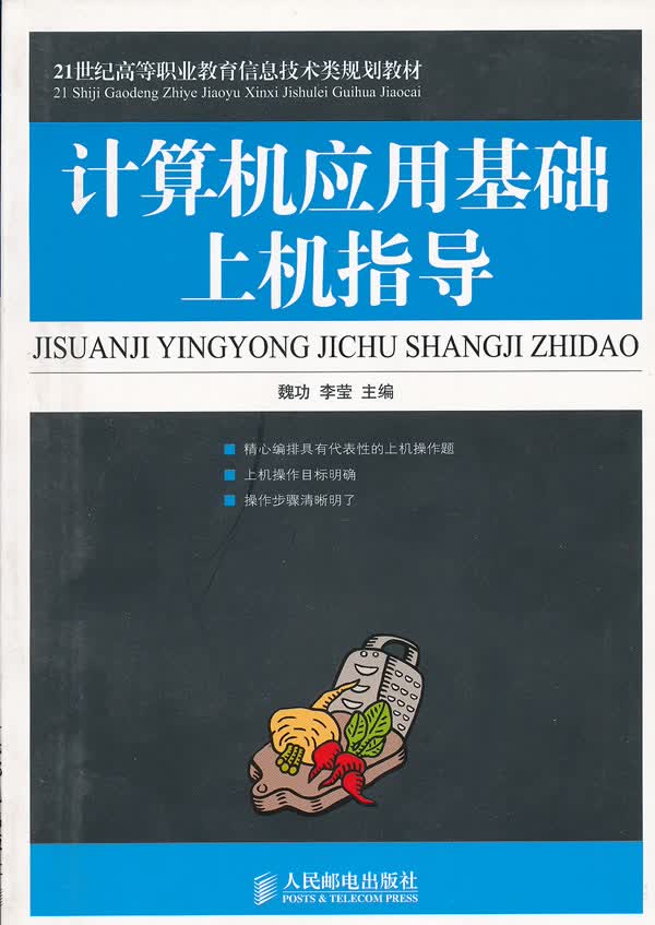 计算机应用基础上机指导【正版图书】