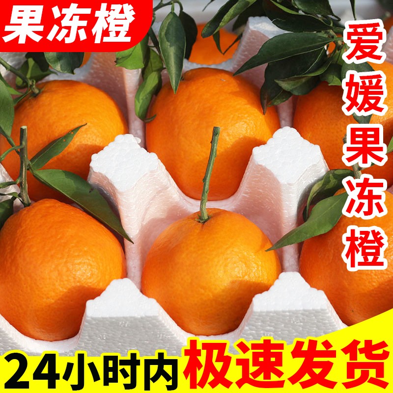 京东新品首发 2021-11-02 - 第20张 | 最新购物优惠券 京东新品首发 2021-11-02 - 第20张 | 最新购物优惠券