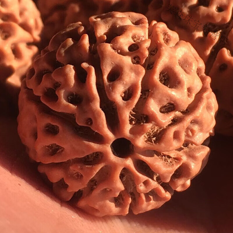 snqp【新款特卖】尼泊尔金刚菩提手串男红黄皮爆满肉原籽大金刚佛珠手