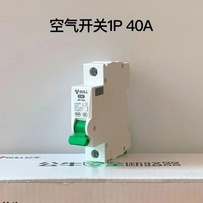 公牛空气开关家用单极1p断路器220v短路电闸63a总闸保护器2p空开 1p 1