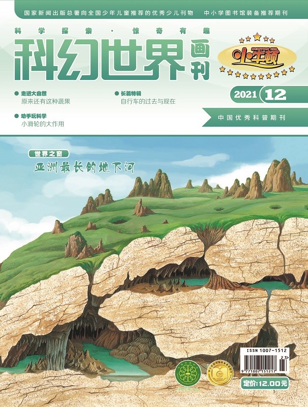 《科幻世界画刊》（小牛顿）2021年12期|自行车历史+亚洲超长地下河+滑轮的作用+初级平面几何 少儿科普 少儿幻想