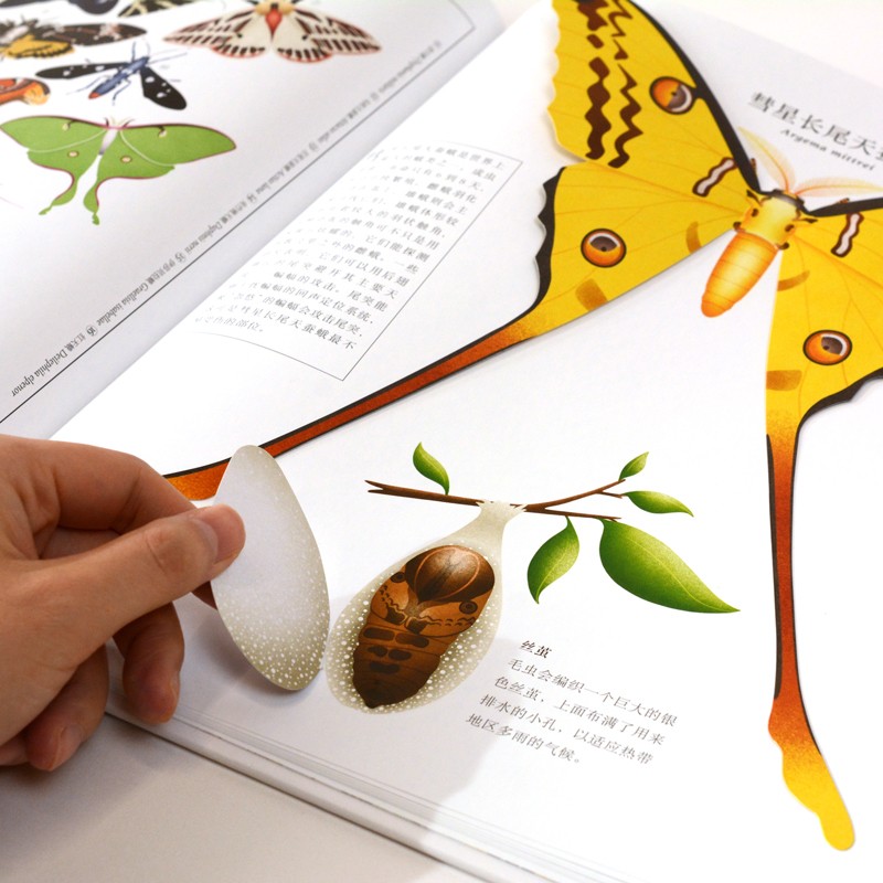 虫儿飞指尖上的昆虫博物馆（奇想国童书）亲密接触11大目、200余种稀奇古怪的虫虫，告别昆虫恐惧。暑假阅读暑假课外书课外暑假自主阅读暑期假期读物