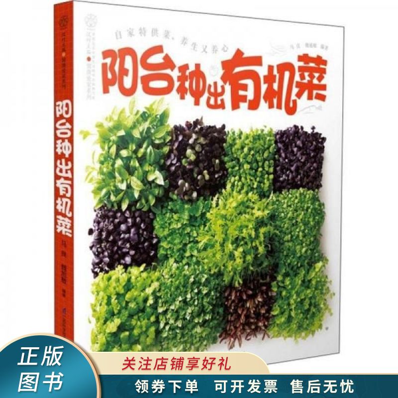 阳台种出有机菜