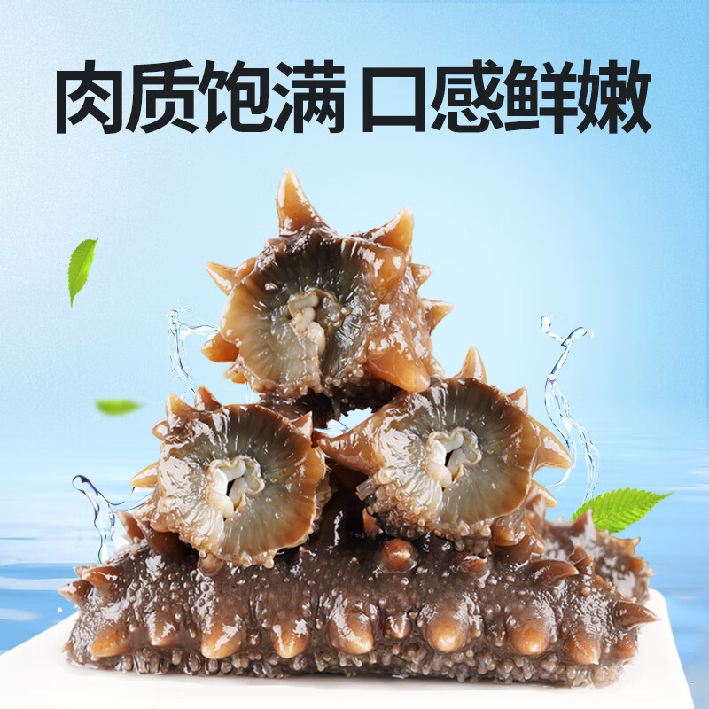 官参堂 大连即食海参 1500g 固形物80%以上  21-30只 辽刺参礼盒