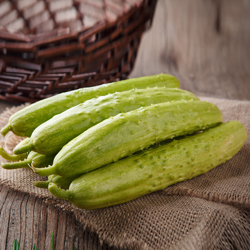 佑嘉木（BlessedWood） 海阳白玉黄瓜  新鲜蔬菜 4.5斤净重