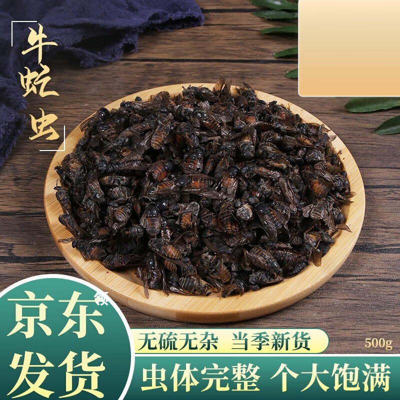 北京同仁堂原料 牛虻虫中药材精选大个牛苍蝇500克牛氓虫 牛蚊子 蜚虻