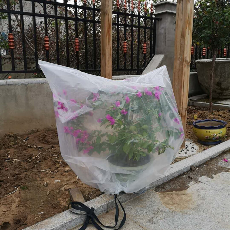 乐泡保暖防寒塑料膜罩包裹树木保护缠树防风防霜冻树套 1米高1米宽