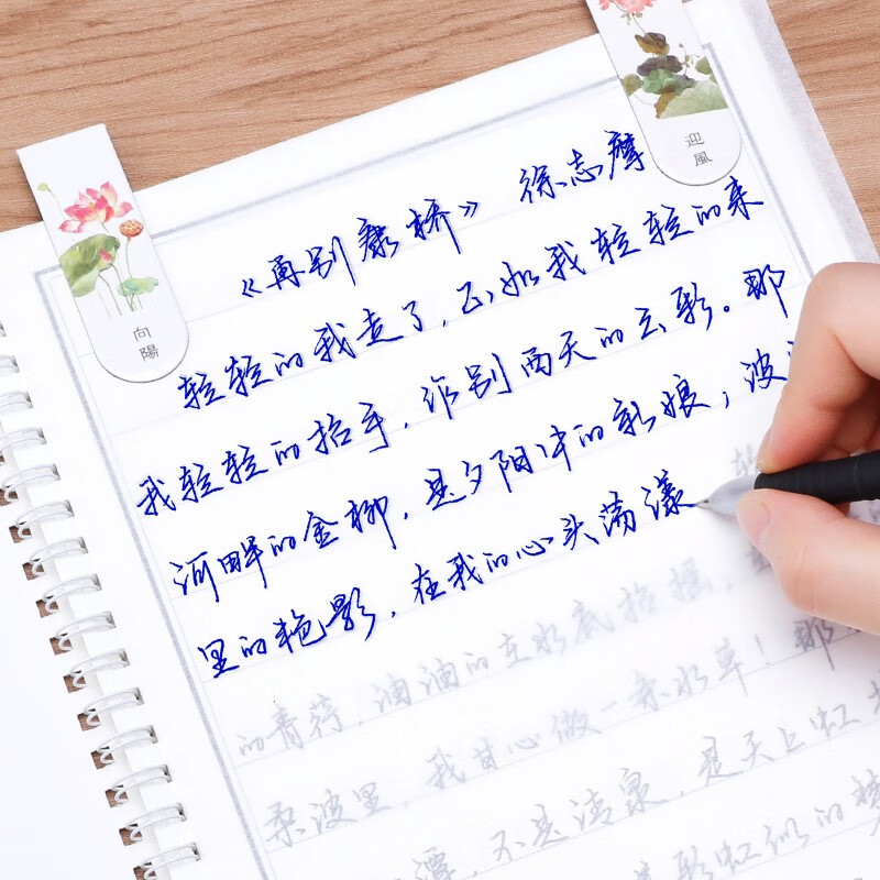 品轩阁 字帖成人手写体练字帖手写自由体行书行楷男女生字体漂亮大学