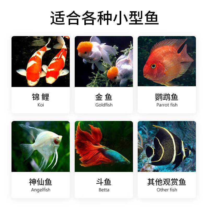 华畜小型鱼粮鱼食500g 海豚鱼热带鱼金鱼观赏鱼饲料通用型1mm 虎窝购