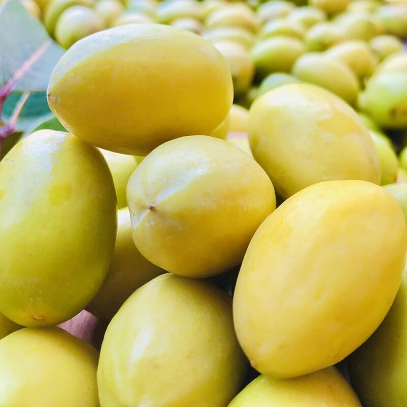 荣嵘潮汕三捻橄榄金灶玉三棱老树广东新鲜青果特产送礼水果礼盒 家庭