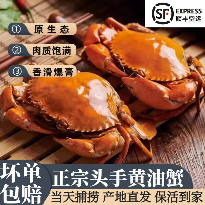 最新最全の 正絹【単衣】しょうざん生紬 蟹(未使用品) 着物 - darina.ro