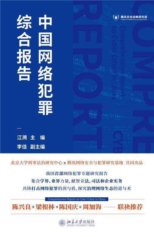 中国网络犯罪综合报告(精)江溯北京大学出版社有限公司9787301319871 法律书籍