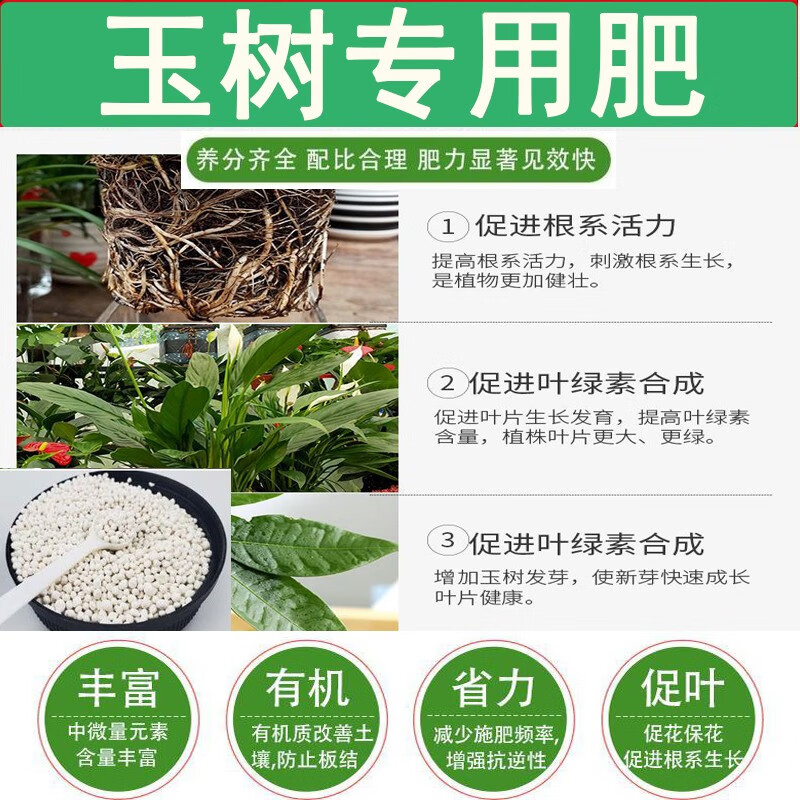 玉树专用肥料复合肥营养液防黄叶腐根促生长有机缓释型盆栽氮磷钾