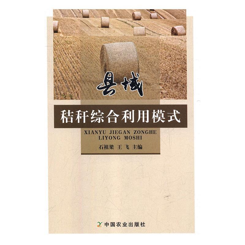 县域秸秆综合利用模式 石祖梁 王飞【正版】