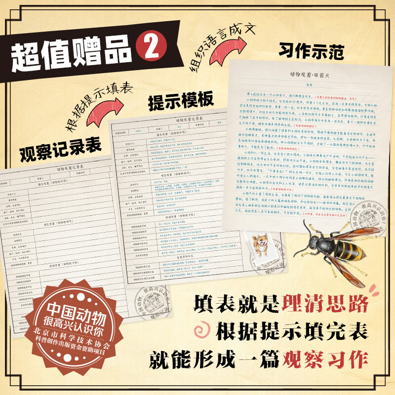 中国动物 很高兴认识你（全4册）（以“中国动物”为主题，专为中国儿童打造的自然百科通识绘本）详情图