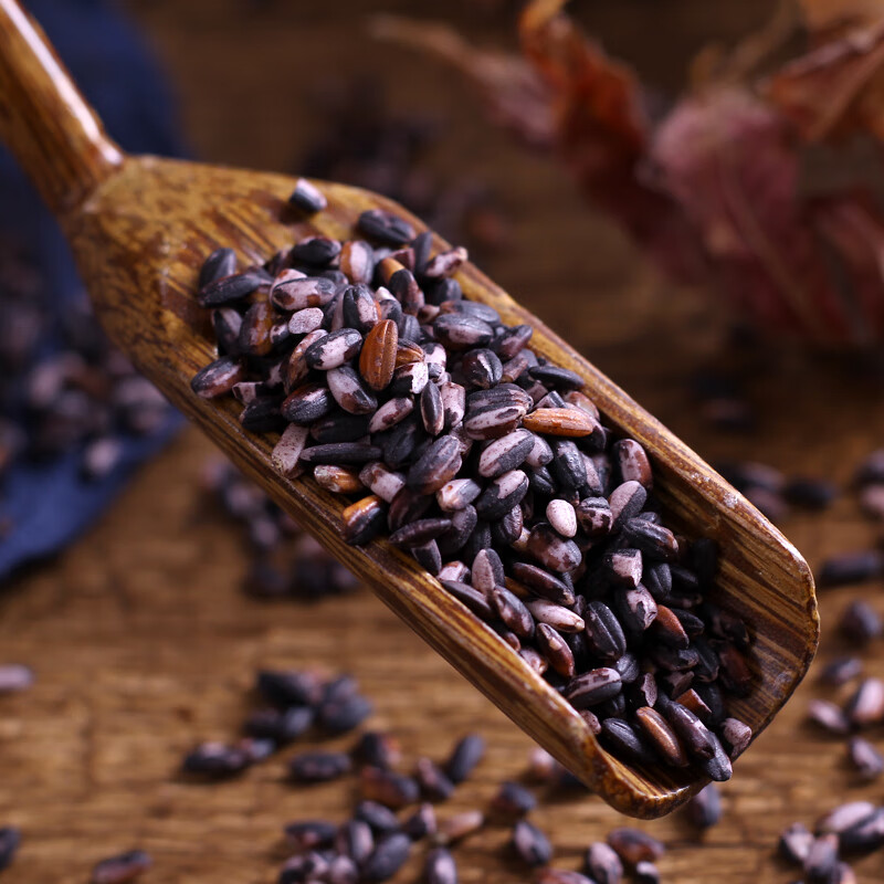 谷耘滇云南紫米紫糯米 新米 农家老品种血糯米2斤非黑米黑糯米 血糯米