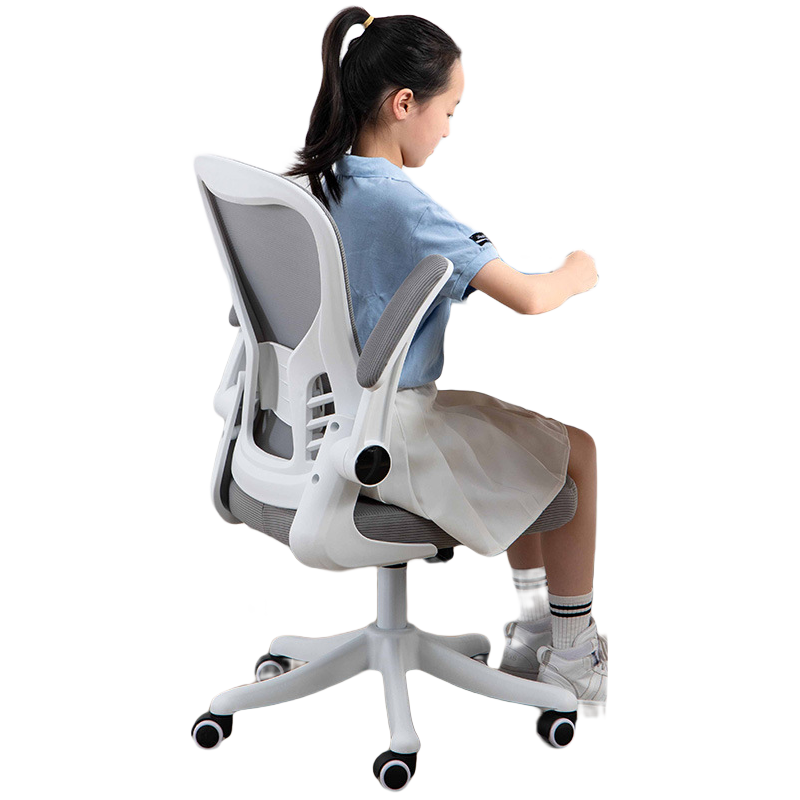 佩奇状元 儿童学习椅中小学生椅子写作业可升降靠背椅 儿童多功能学习座椅写字读书椅 【智学款】灰白