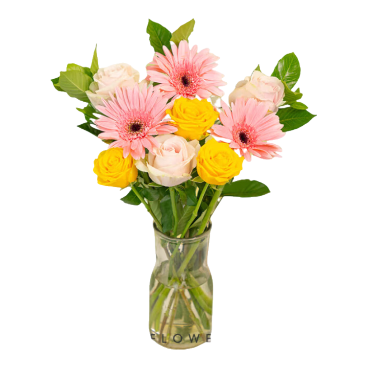 ����ʱ�䣨Reflower��õ�廨����ܰˮ�ɰٺ��ʻ���������Դͷ����ֱ���������л����廨 ��ѩӳ���桿��ƿ��1��