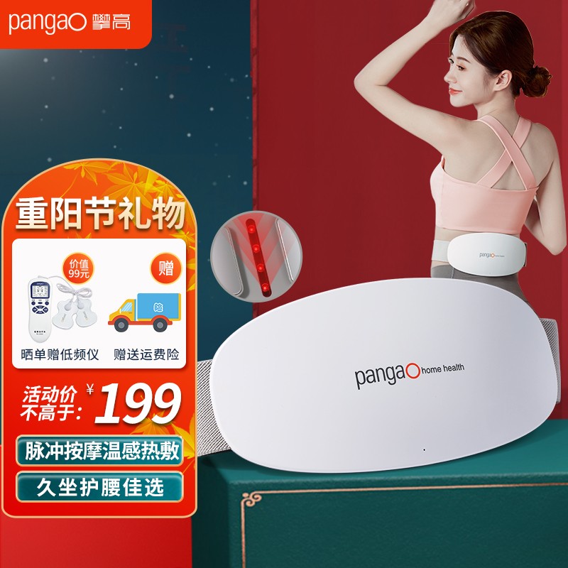 攀高（PANGAO）腰部按摩器 腰部按摩仪腹部按摩器腰部按摩热敷暖宫腰带按摩腰生日礼物【重阳节礼物】 升级款：PG-2643（双脉冲按摩+红光热敷）